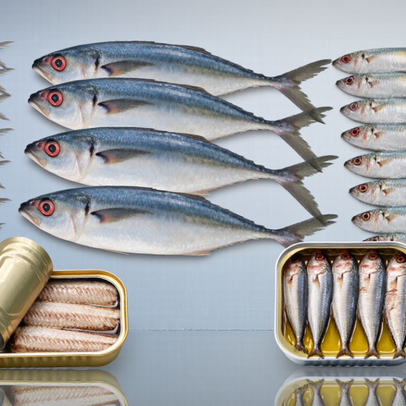 Top Types of Sardine Fish for Global Buyers
