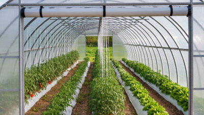 What Is a Tunnel Greenhouse and How Does It Work?