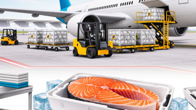 How to Ship Norwegian Salmon by Air Cargo?