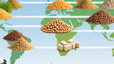 Top Types of Animal Feed for Global Buyers