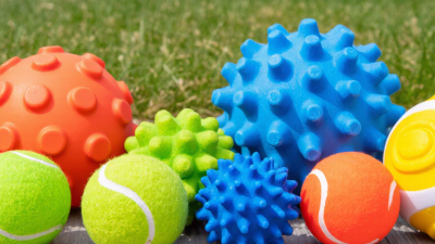 2026 Top Types of Dog Balls for Global Buyers?