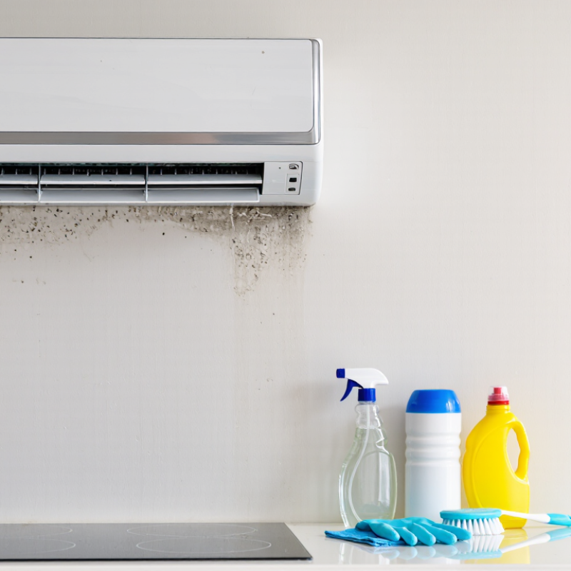 7 Best Air Conditioning Vent Mold Removal Products