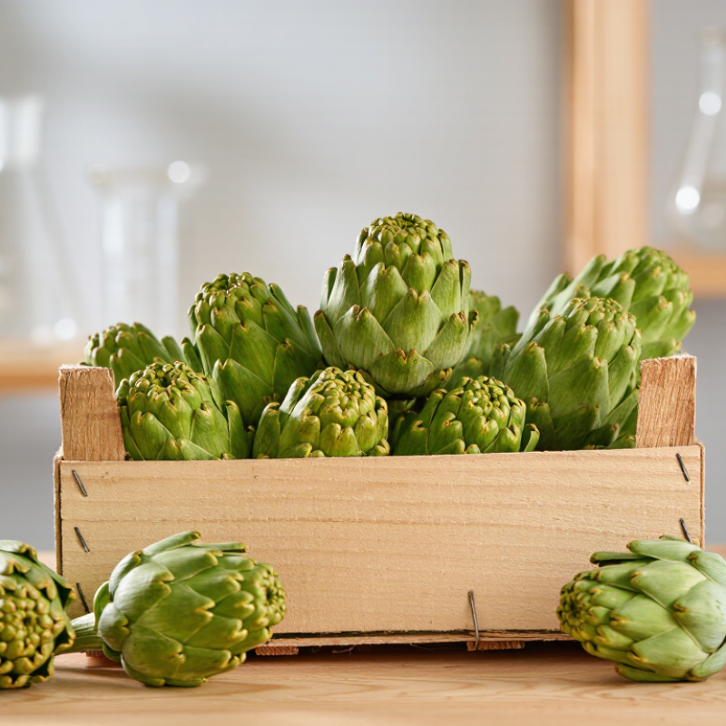 China Best Organic Artichoke Extract Supplier?