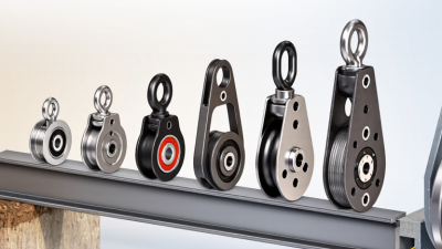 7 Best Pulley in Well Options for Global Buyers?