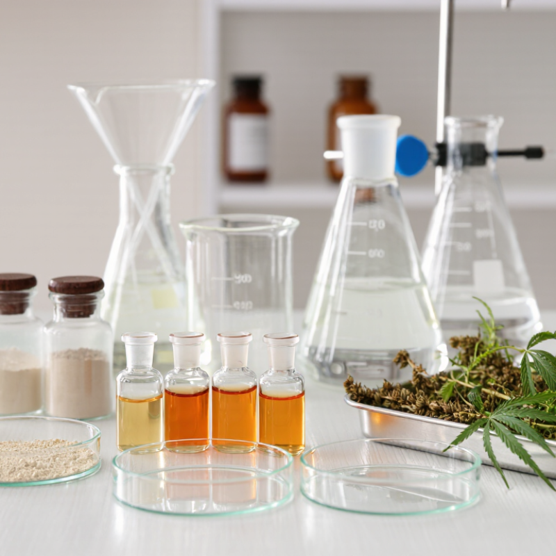 Top Lespedeza Capitata Extract Types for Buyers in 2026?