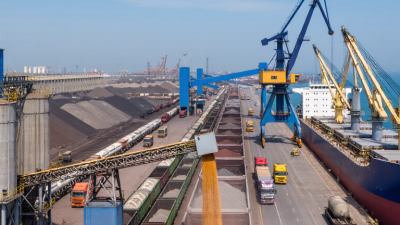 What Is Bulk Transport and How Does It Work?