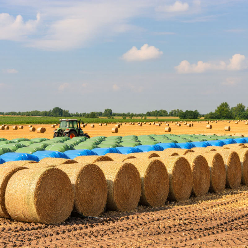 2026 Top Farm Tarps for Global Buyers