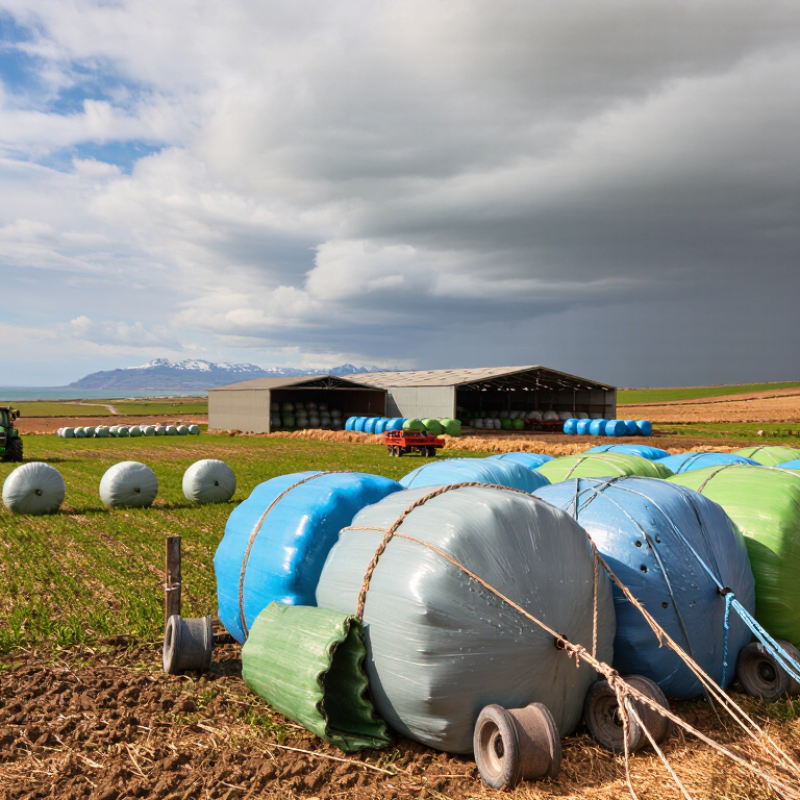 2026 Best Farm Tarps for Global Buyers