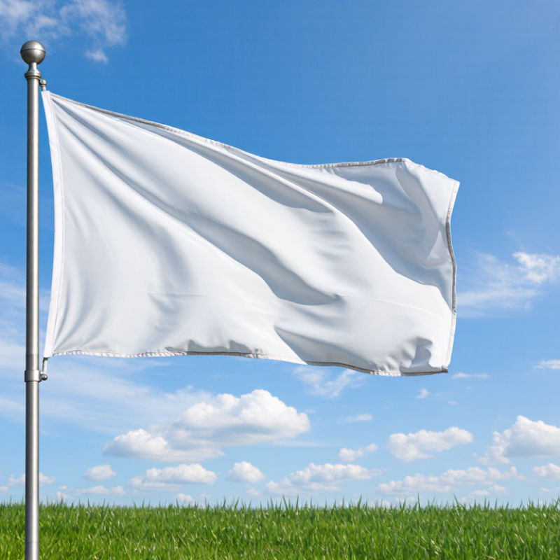 Top Outdoor Giant Pole Flag Banner Manufacturers