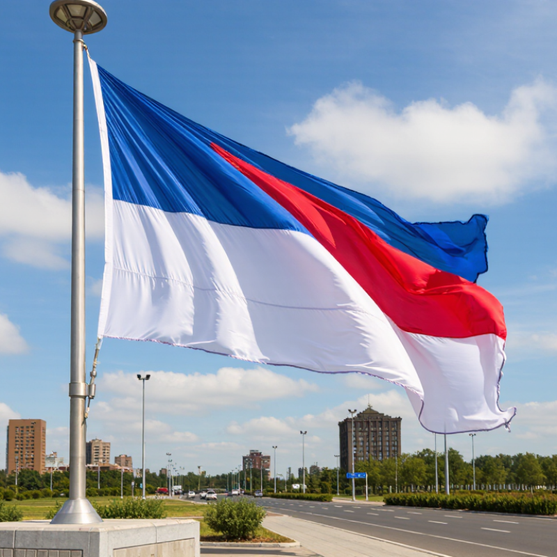 How to Choose an Outdoor Giant Pole Flag Banner in 2026?