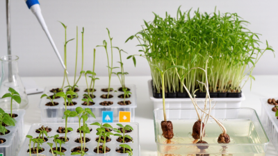 How to Use Gibberellic Acid for Seed Germination?