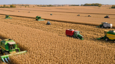 2026 Top Corn Harvester Types Which Is Best for Buyers?