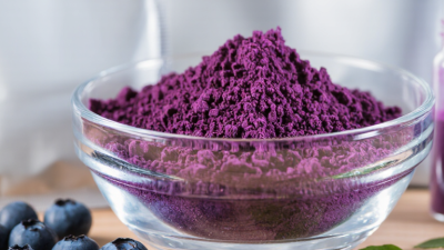 China Best Blueberry Extract Powder Supplier?