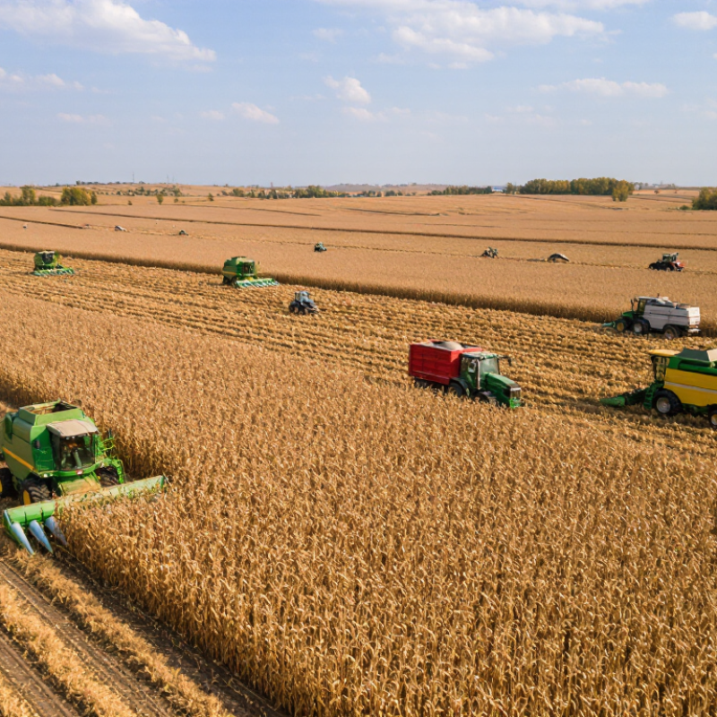 2026 Top Corn Harvester Types Which Is Best for Buyers?