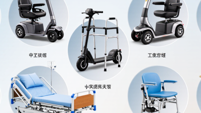 China Top 10 Handicap Equipment Suppliers?