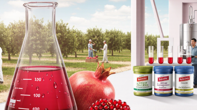 How to Source High Quality Pomegranate Extract in 2026?