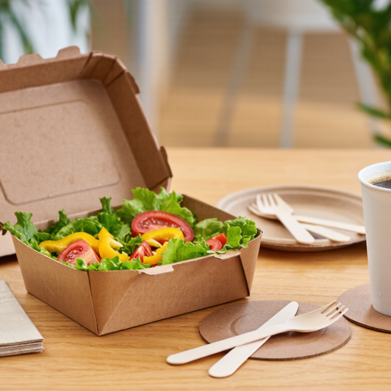 What Are the 2026 Best Eco Disposable Paper Products?