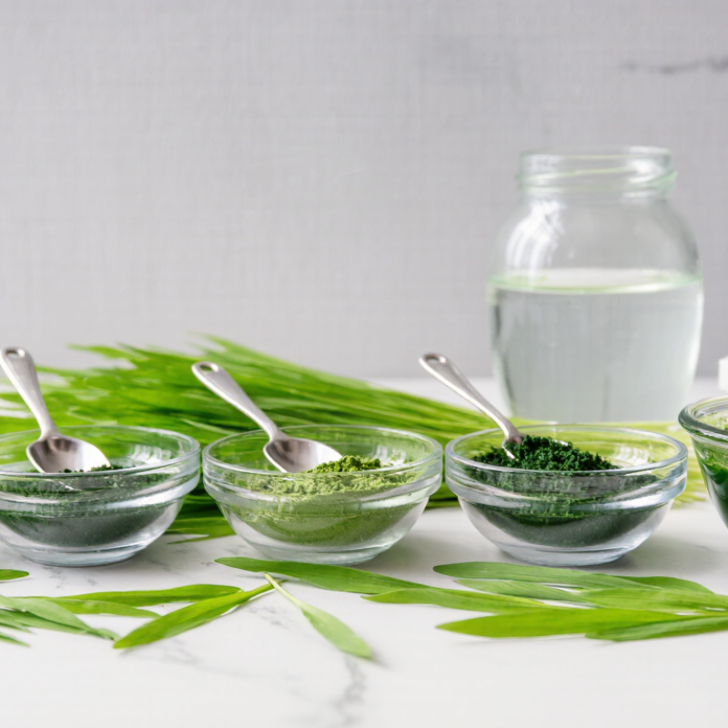 7 Best Barley Grass Juice Powder Suppliers in 2026?