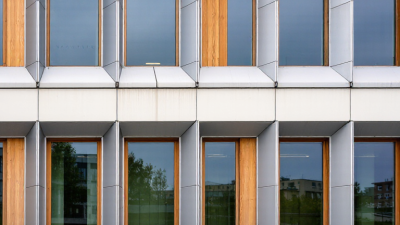 Why Choose Clad Windows for Global Projects?