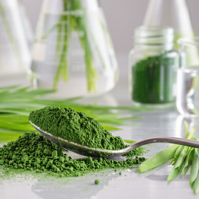 7 Tips for Sourcing Barley Grass Juice Powder?
