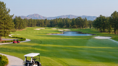 China Top 10 Golf Course Manufacturers for Global Buyers