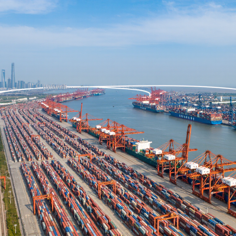 China Top Shipping Container Transport Companies?