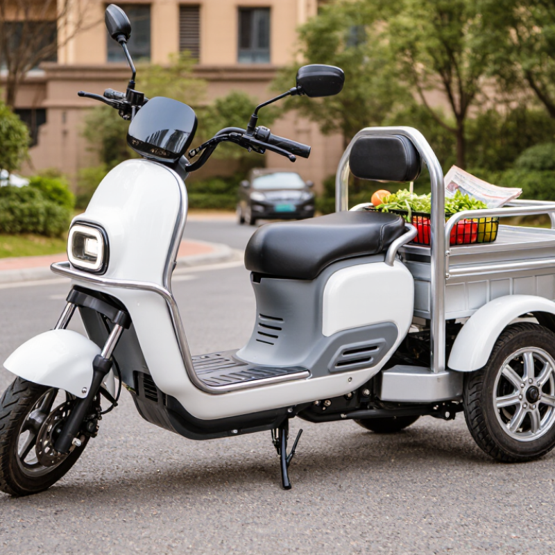 What Is the Best China Electric Trike Scooter?