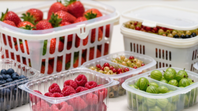 7 Best Berry Containers for Wholesale Buyers