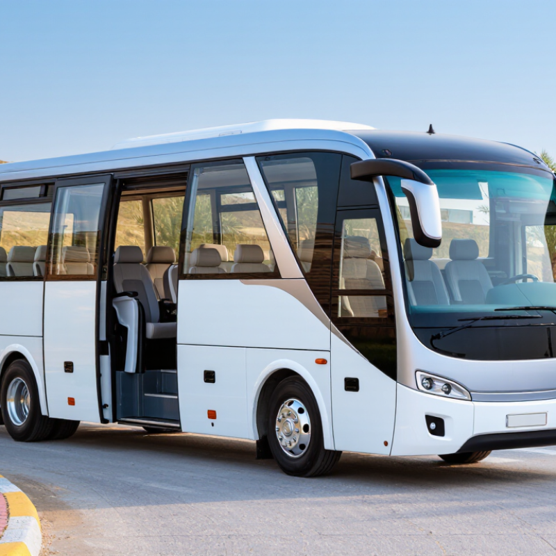 China Best 6 Seater Resort Passenger Shuttle Price?
