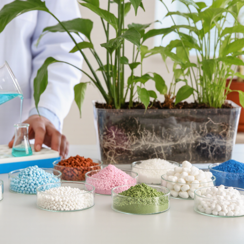 Top 10 Types of Water Soluble Micronutrient Fertilizer