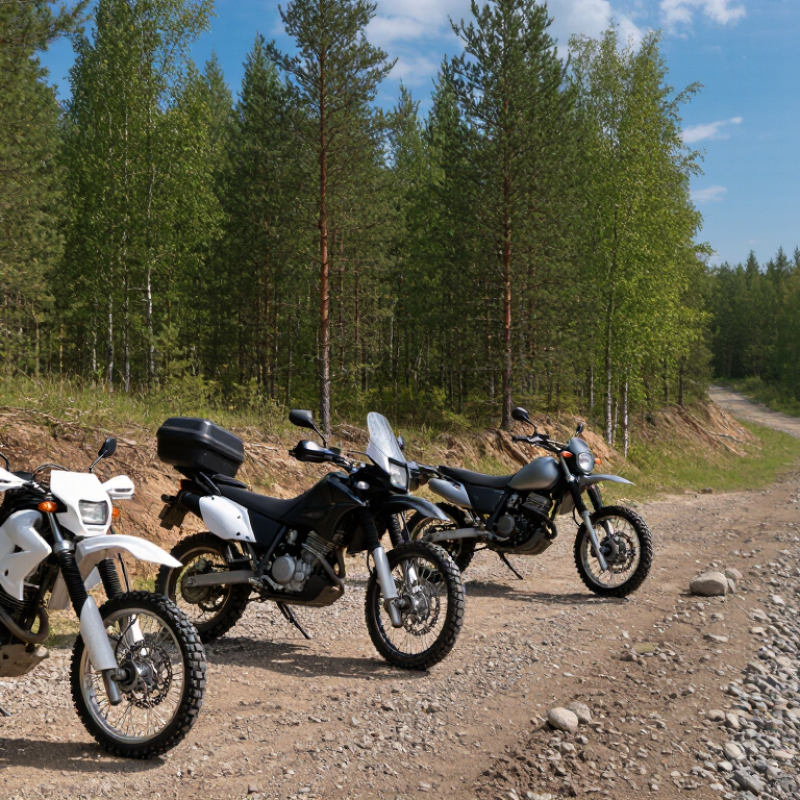 How to Choose the Best Trail Motorcycle?