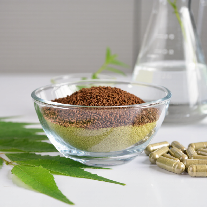 Why Choose Bacopa Extract for Your Product?