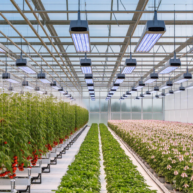 2026 Top Grow Lights for Outdoor Greenhouse Supplementation?