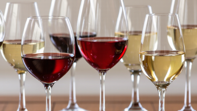 7 Best Red Wine and White Wine Glasses to Buy?