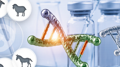 What Is a Polyclonal Antibody and What Types Are Available?