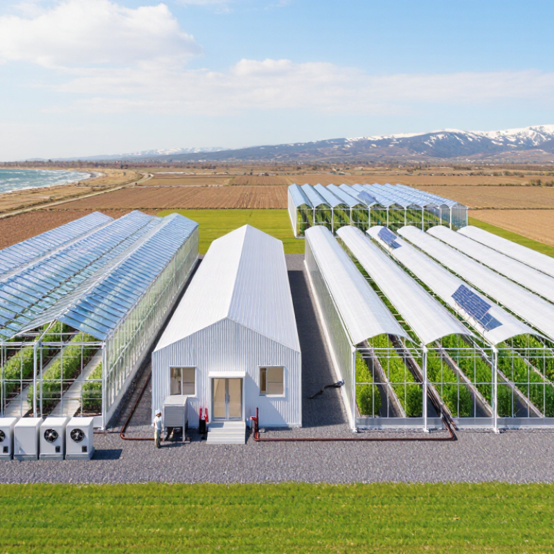 2026 Top Green House Types for Global Buyers
