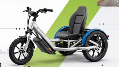 2026 Best Trike For Adult Buying Guide For Global Buyers