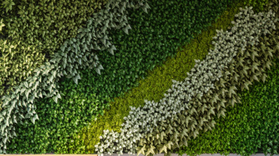 How to Choose the Best Artificial Plant Wall in 2026?