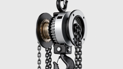 What Is a Chain Hoist and How Does It Work?