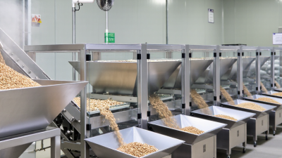 What Is Seed Cleaning Equipment and How Does It Work?