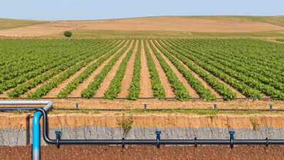 How to Choose the Best Drip Line Irrigation System?