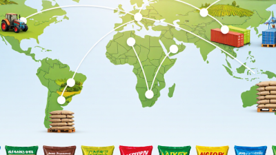 Top 10 Fertilizer Distributors for Global Buyers?