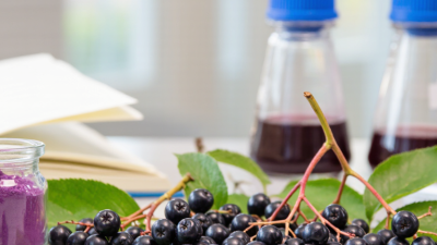 7 Aronia Berry Extract Buying Tips for Global Buyers