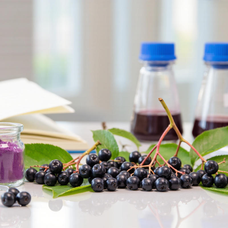 7 Aronia Berry Extract Buying Tips for Global Buyers