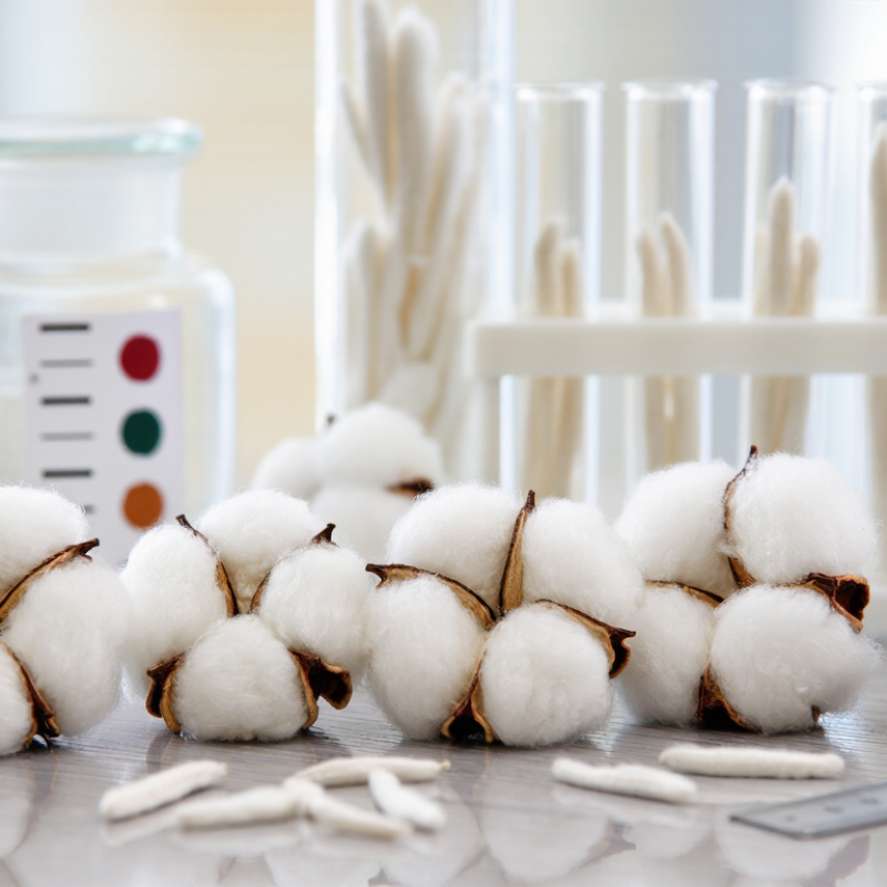Why Does Long Staple Cotton Matter for Global Buyers?