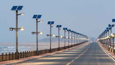 What Is the Best Solar Street Lamp from China?