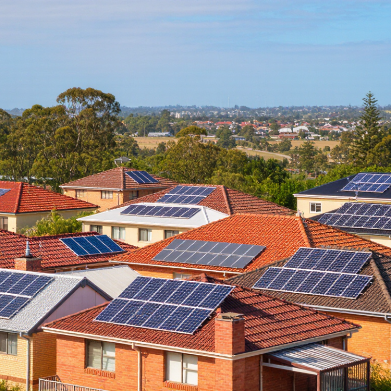 Top Solar Reviews Which Panels Are Best for Global Buyers?