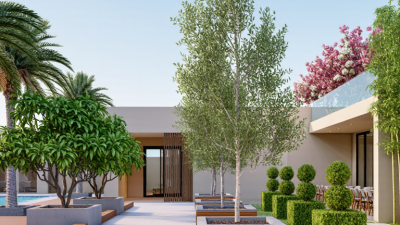 What Are the Top Types of Artificial Outdoor Trees?