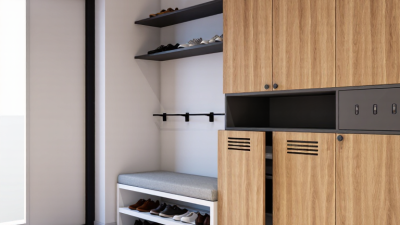 What Are the Best Shoe Storage Ideas from China?