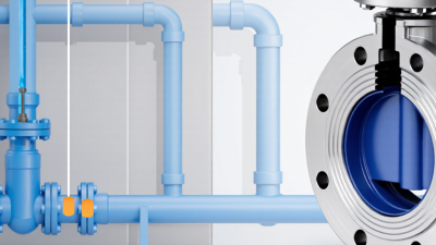 What Is the Best China Sea Water Butterfly Valve?